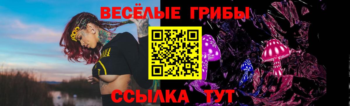 Псилоцибиновые грибы ЛСД  Вход с VPN  Тихорецк 